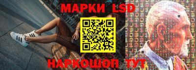 молекула духа Кингисепп