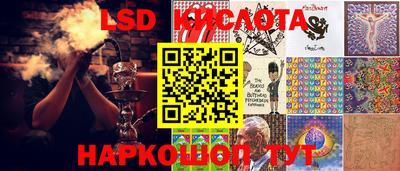 молекула духа Кингисепп