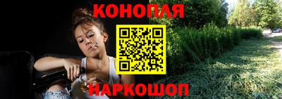 молекула духа Кингисепп
