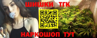 молекула духа Кингисепп