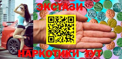молекула духа Кингисепп