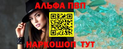 молекула духа Кингисепп
