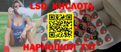 молекула духа Кингисепп
