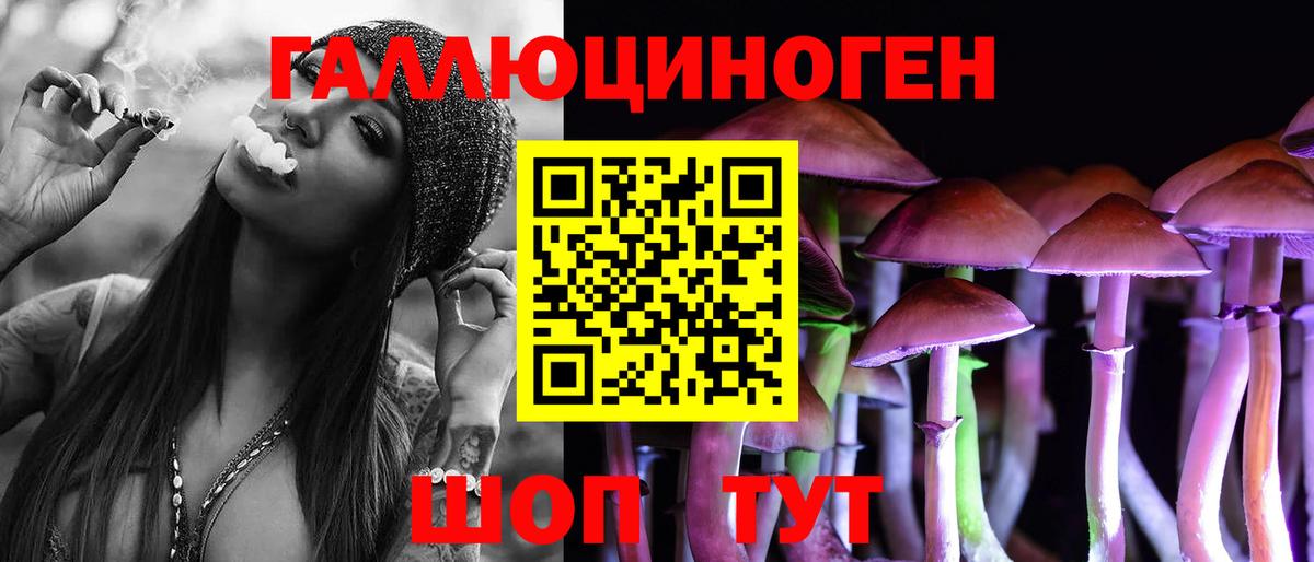 Кузнецк  Галлюциногенные грибы Psilocybine cubensis  наркошоп  Вход с VPN 